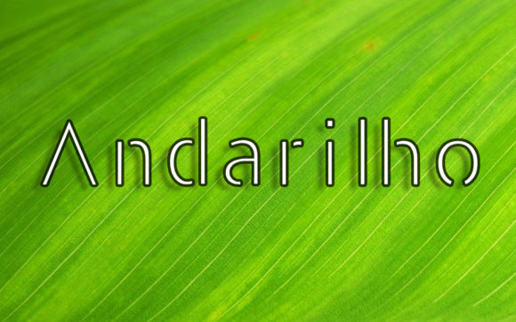 Andarilho: A Designer’s Take on Its Personality and Practical Use