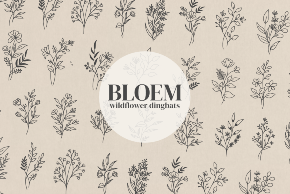 How a Botanical Font Transformed My Small Business Branding