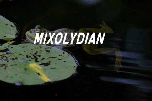 Mixolydian Font Review: A Web Designer’s Perspective