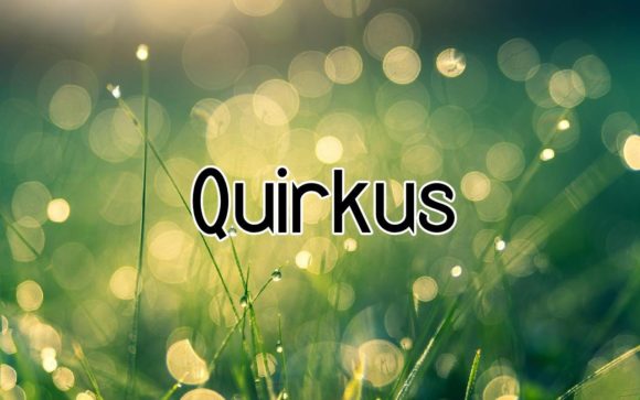 Quirkus: A Bold Typeface for Creative Editorial Design