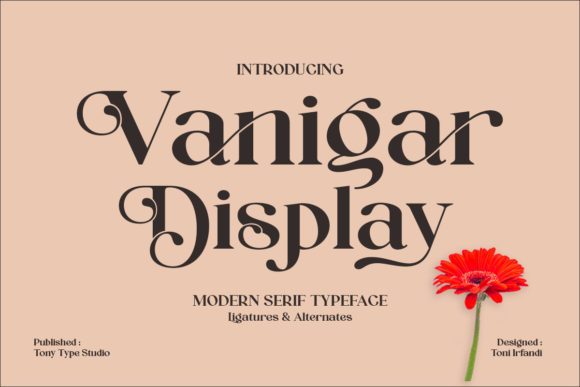 Vanigar Display: A Bold Typeface for Standout Campaign Visuals